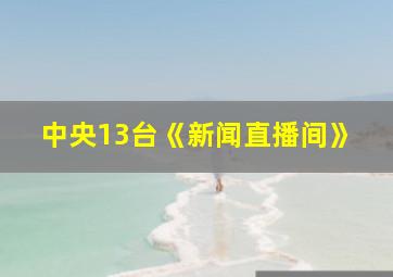 中央13台《新闻直播间》