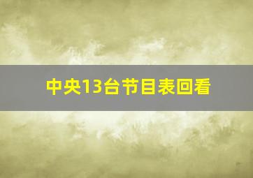 中央13台节目表回看