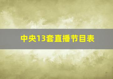 中央13套直播节目表