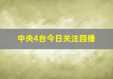 中央4台今日关注回播