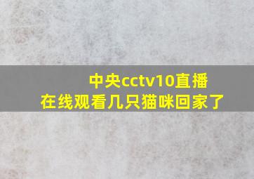 中央cctv10直播在线观看几只猫咪回家了