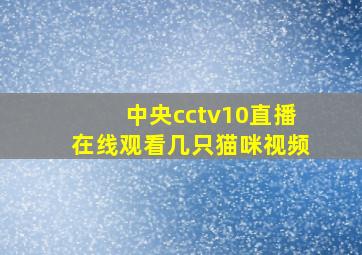 中央cctv10直播在线观看几只猫咪视频