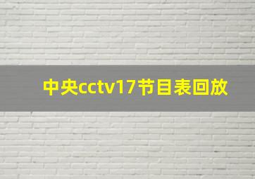 中央cctv17节目表回放