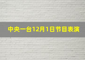 中央一台12月1日节目表演