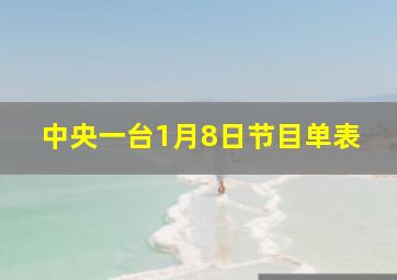 中央一台1月8日节目单表