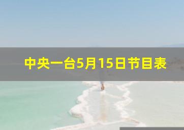 中央一台5月15日节目表