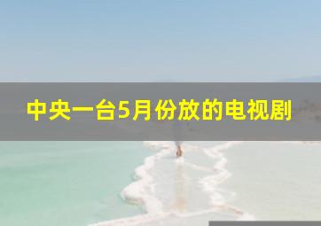 中央一台5月份放的电视剧