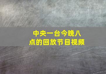 中央一台今晚八点的回放节目视频