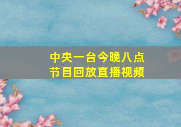 中央一台今晚八点节目回放直播视频