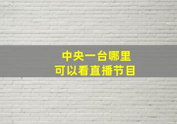 中央一台哪里可以看直播节目