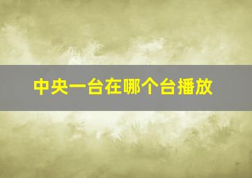 中央一台在哪个台播放