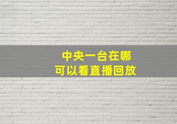 中央一台在哪可以看直播回放