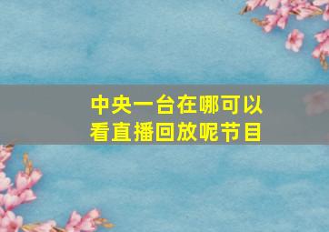 中央一台在哪可以看直播回放呢节目