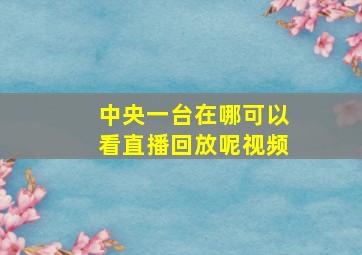 中央一台在哪可以看直播回放呢视频