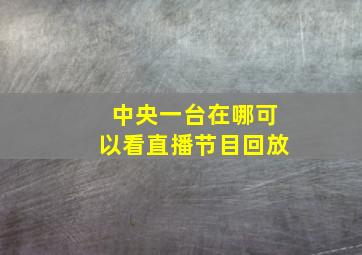 中央一台在哪可以看直播节目回放