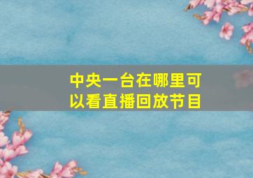 中央一台在哪里可以看直播回放节目