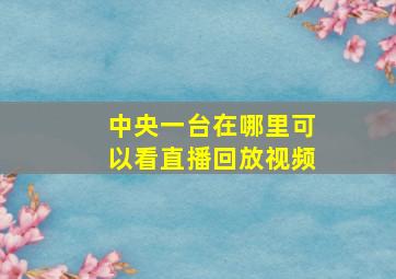 中央一台在哪里可以看直播回放视频