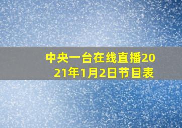 中央一台在线直播2021年1月2日节目表