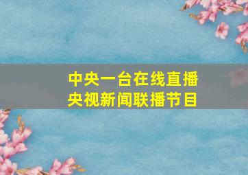 中央一台在线直播央视新闻联播节目