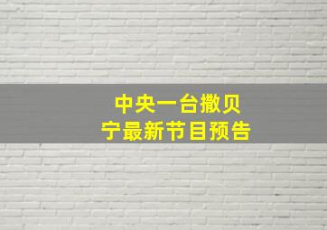 中央一台撒贝宁最新节目预告