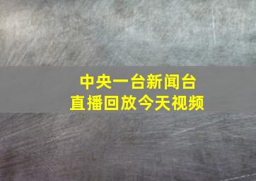 中央一台新闻台直播回放今天视频