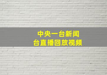 中央一台新闻台直播回放视频