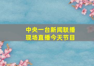 中央一台新闻联播现场直播今天节目