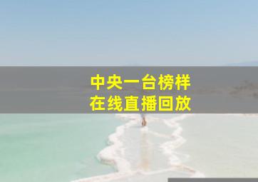 中央一台榜样在线直播回放