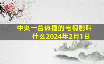 中央一台热播的电视剧叫什么2024年2月1日