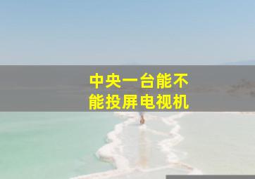 中央一台能不能投屏电视机