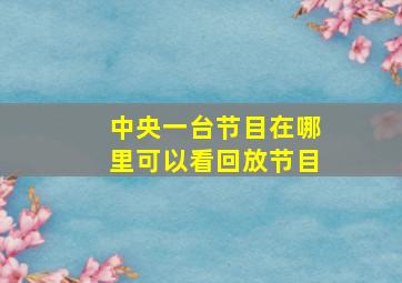 中央一台节目在哪里可以看回放节目