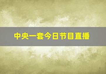 中央一套今日节目直播