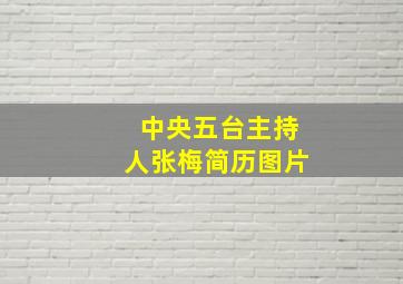 中央五台主持人张梅简历图片