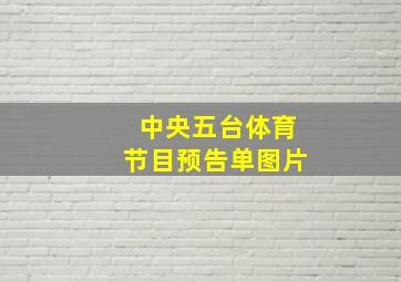 中央五台体育节目预告单图片