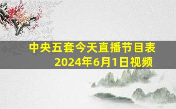 中央五套今天直播节目表2024年6月1日视频