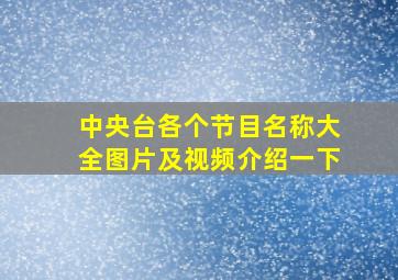 中央台各个节目名称大全图片及视频介绍一下