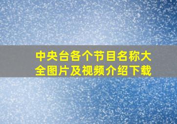 中央台各个节目名称大全图片及视频介绍下载