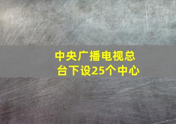 中央广播电视总台下设25个中心