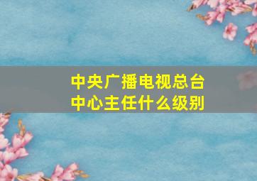 中央广播电视总台中心主任什么级别