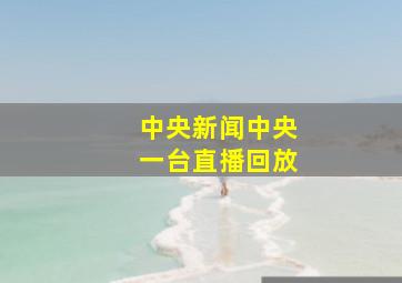 中央新闻中央一台直播回放