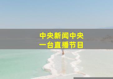 中央新闻中央一台直播节目