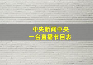 中央新闻中央一台直播节目表