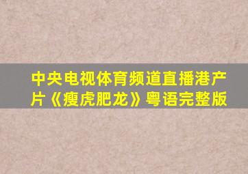 中央电视体育频道直播港产片《瘦虎肥龙》粤语完整版