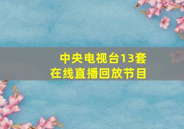 中央电视台13套在线直播回放节目