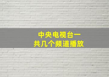 中央电视台一共几个频道播放