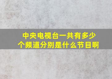 中央电视台一共有多少个频道分别是什么节目啊