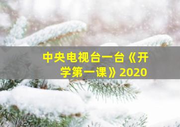 中央电视台一台《开学第一课》2020