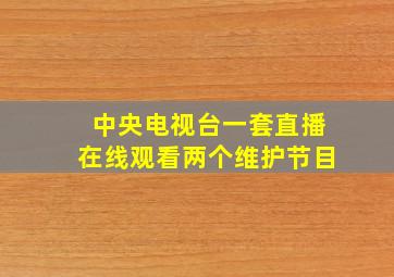 中央电视台一套直播在线观看两个维护节目