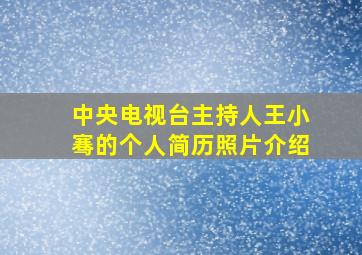 中央电视台主持人王小骞的个人简历照片介绍