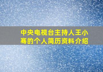 中央电视台主持人王小骞的个人简历资料介绍